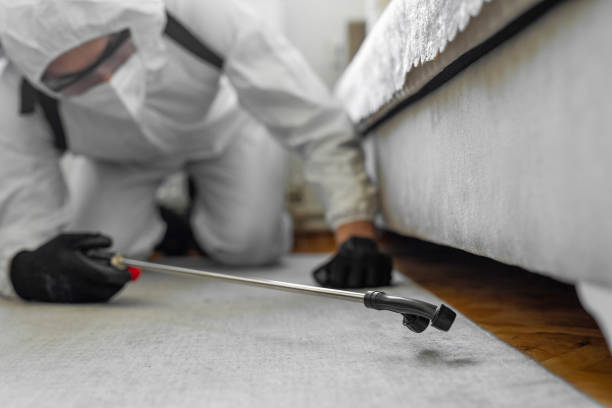 Professional Pest Control technician working in Bloomington, IL