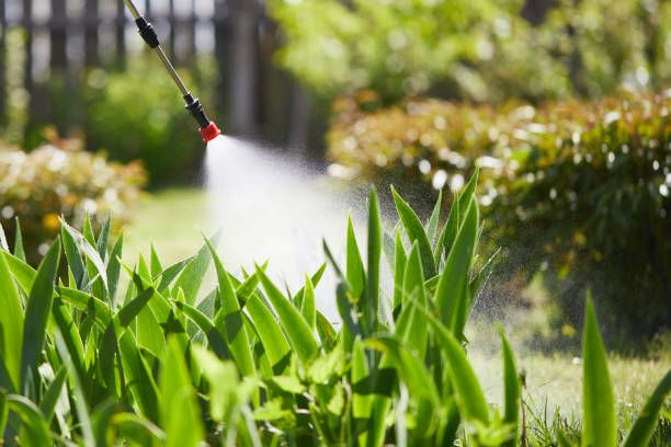 24/7 Emergency Pest Control experts in Bloomington, IL