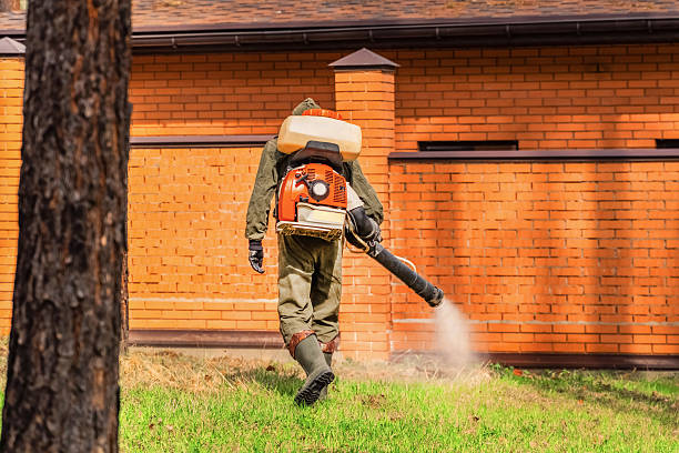 Top rated local Pest Control specialists in Bloomington, IL